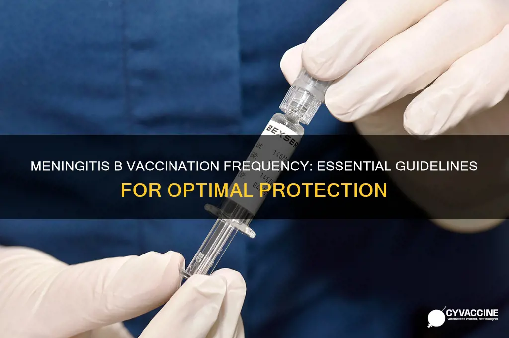 how often should you be vaccinated for meningitis b