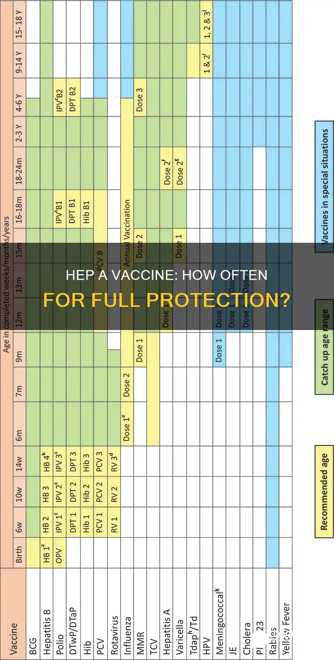 how often should you have hep a vaccine