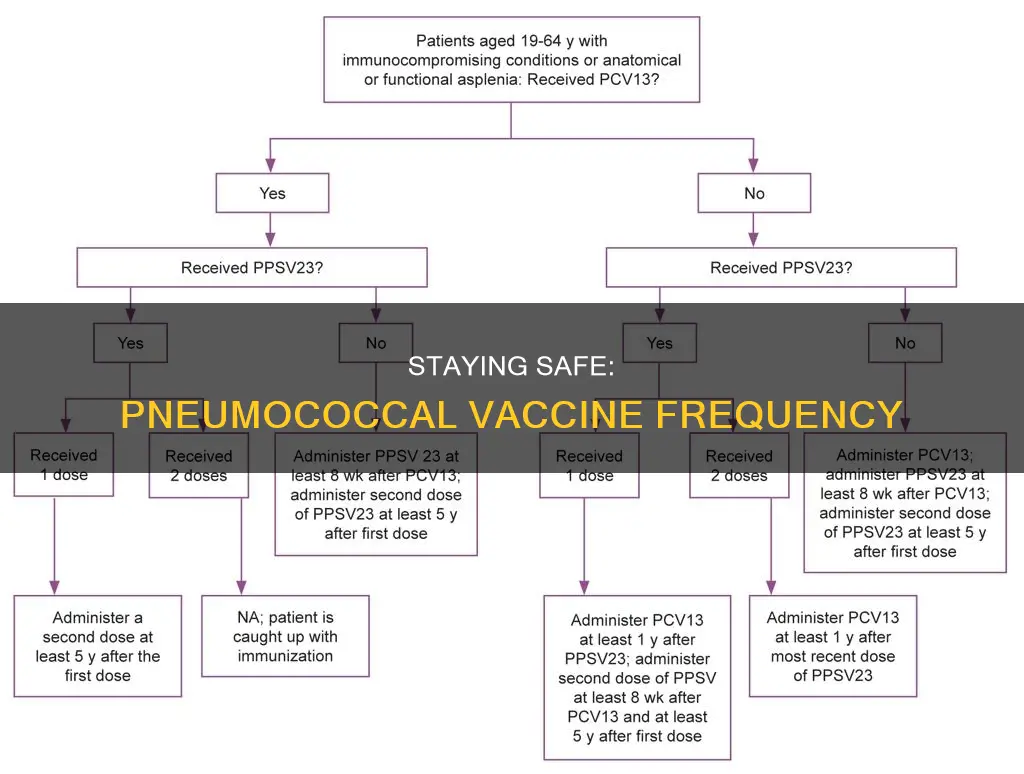 how often should you have the pneumococcal vaccine