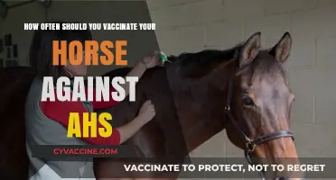 Optimal AHS Vaccination Schedule for Horses: Expert Recommendations