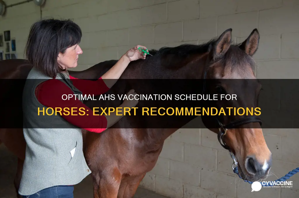 how often should you vaccinate your horse against ahs