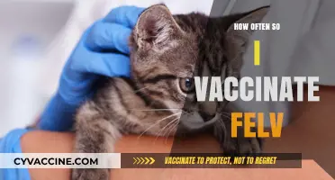 How Often Should Cats Receive the FeLV Vaccine?