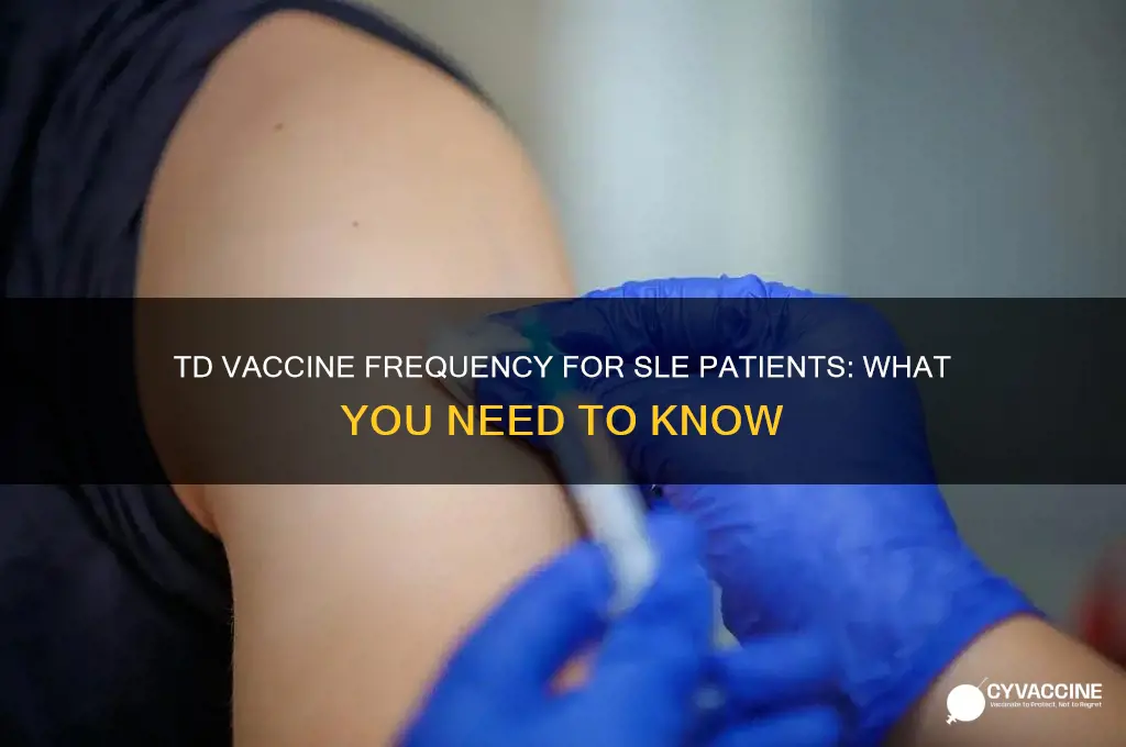 how often td vaccine with sle