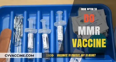 MMR Vaccine Schedule: Optimal Timing for Protection and Immunity