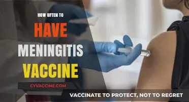 Meningitis Vaccine Frequency: Essential Timing for Optimal Protection