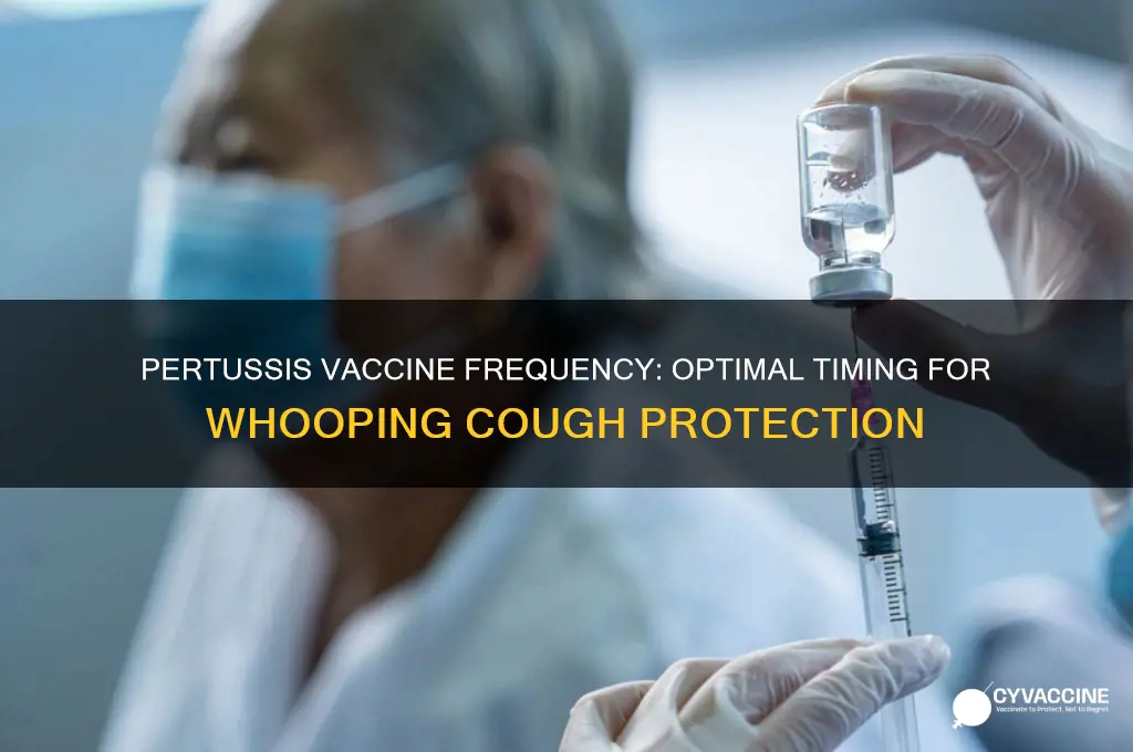 how often to have pertussis vaccine