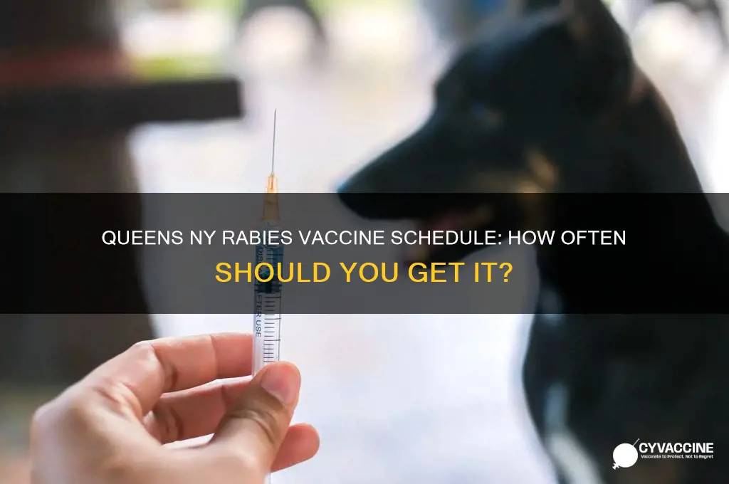 how often to have rabies vaccine in queens ny