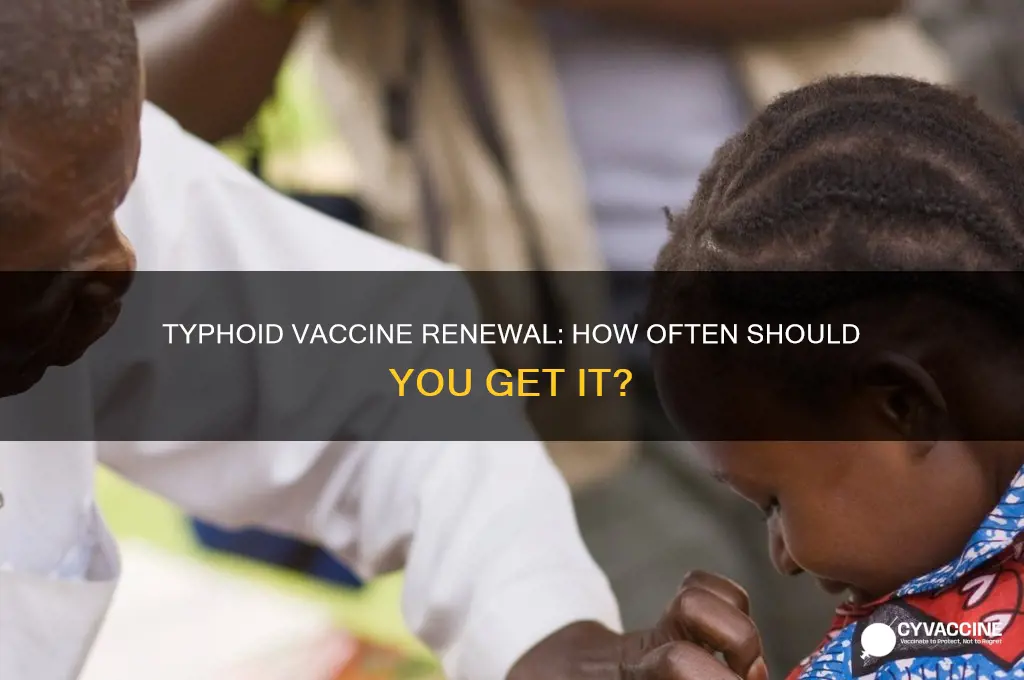 how often to renew typhoid vaccine
