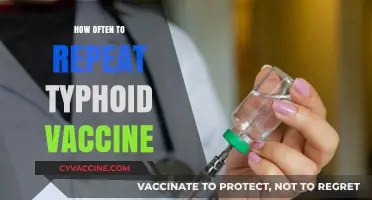 Typhoid Vaccine Booster Schedule: How Often Should You Repeat?