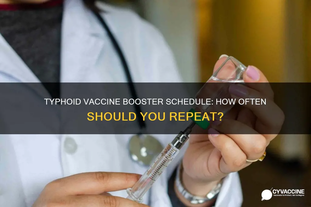 how often to repeat typhoid vaccine