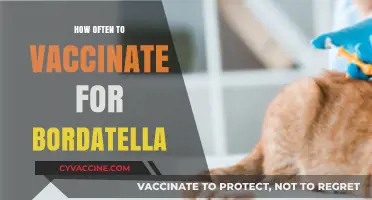Bordatella Vaccination Frequency: Optimal Timing for Your Pet's Health