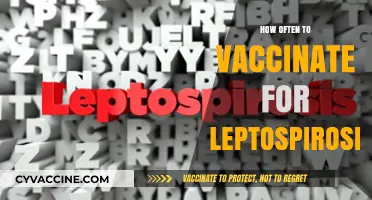 Optimal Leptospirosis Vaccination Frequency: Protecting Your Pet's Health