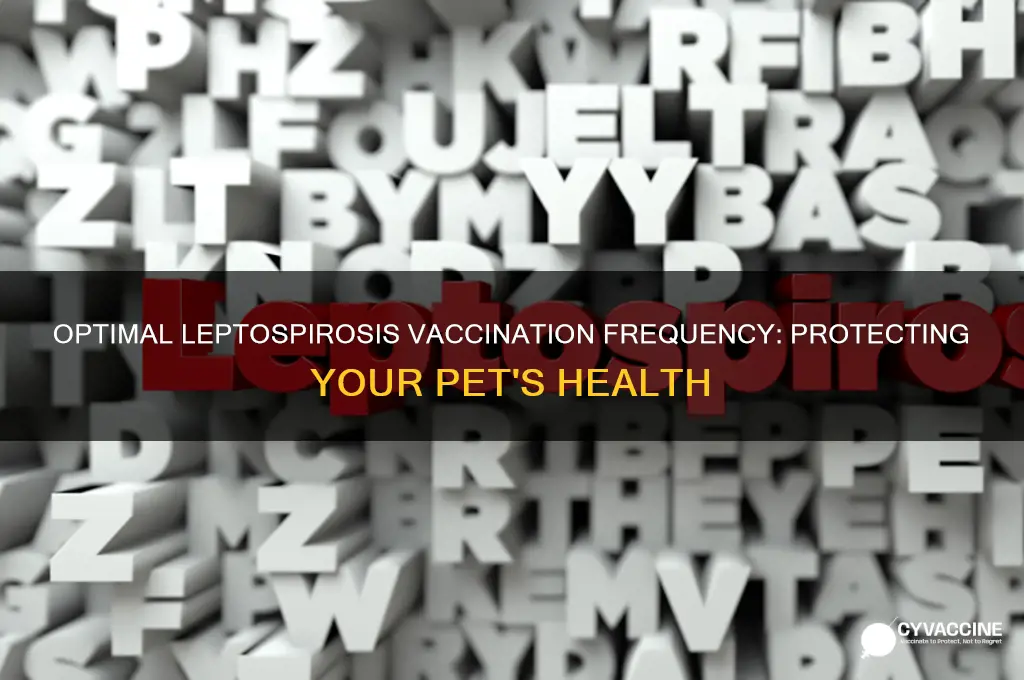 how often to vaccinate for leptospirosis