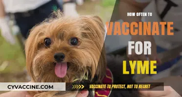 Optimal Lyme Disease Vaccination Frequency: A Comprehensive Guide for Pet Owners