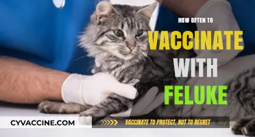 Optimal Feluke Vaccination Frequency for Cats: Expert Guidelines and Tips
