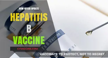 Hepatitis B Vaccine: Optimal Update Frequency for Long-Term Immunity