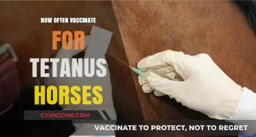 Tetanus Vaccination Schedule for Horses: Essential Guidelines for Optimal Protection