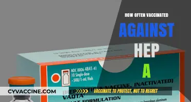 Hepatitis A Vaccination Frequency: Essential Timing for Optimal Protection