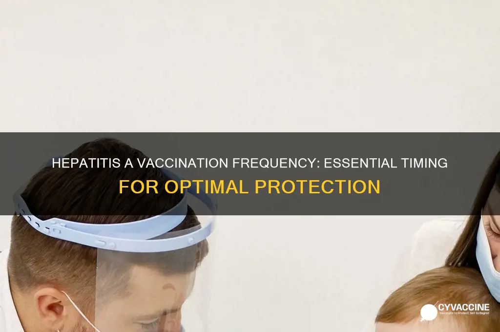 how often vaccinated against hep a
