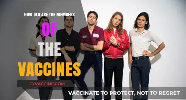 The Vaccines Band Members' Ages: A Timeline of Their Journey