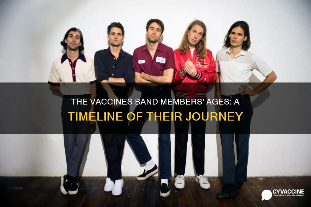 how old are the members of the vaccines