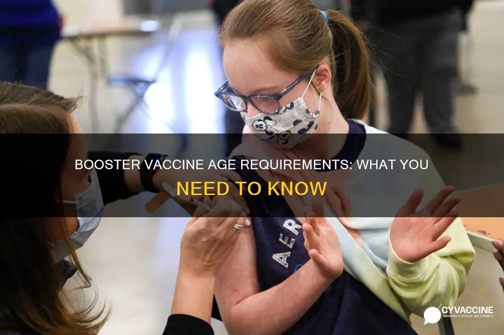 how old do you have to be for booster vaccine