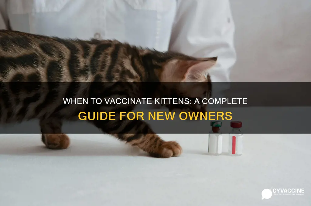 how old do you vaccinate kittens