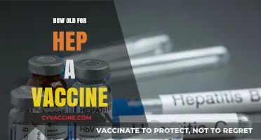 Hepatitis A Vaccine: Age Recommendations and Timing for Protection