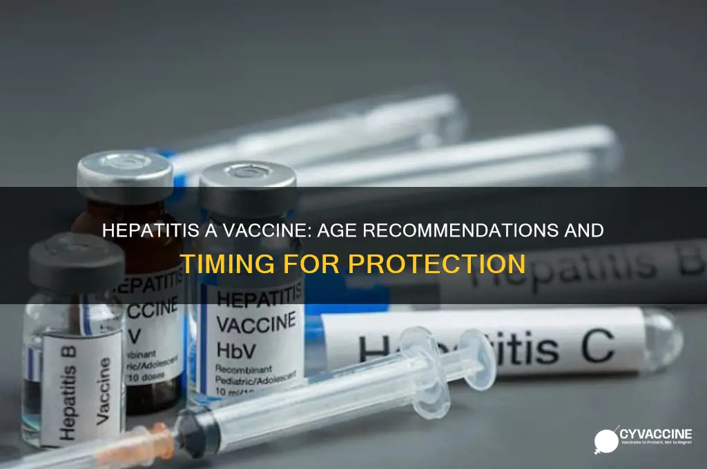 how old for hep a vaccine