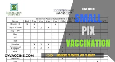 Small Pox Vaccination Age: Understanding the Timeline and Importance