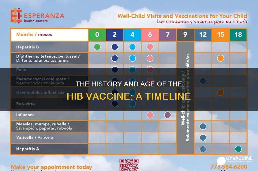 how old is the hib vaccine