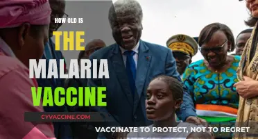 The Age of the Malaria Vaccine: A Historical Overview