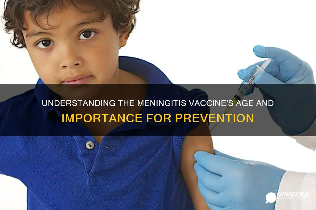 how old is the meningitis vaccine