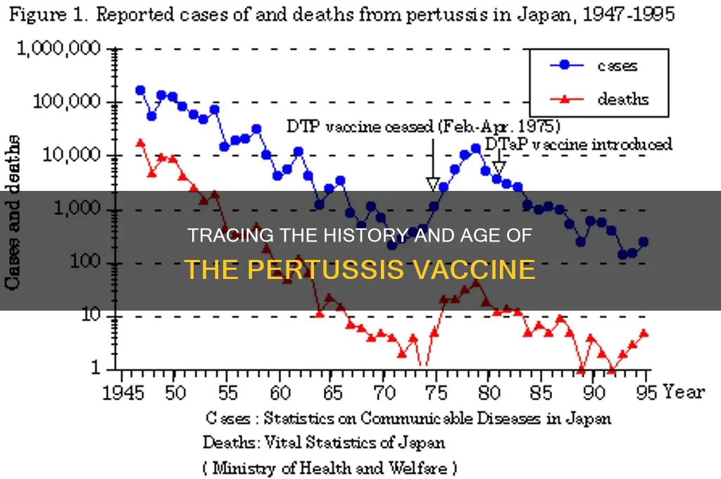 how old is the pertussis vaccine