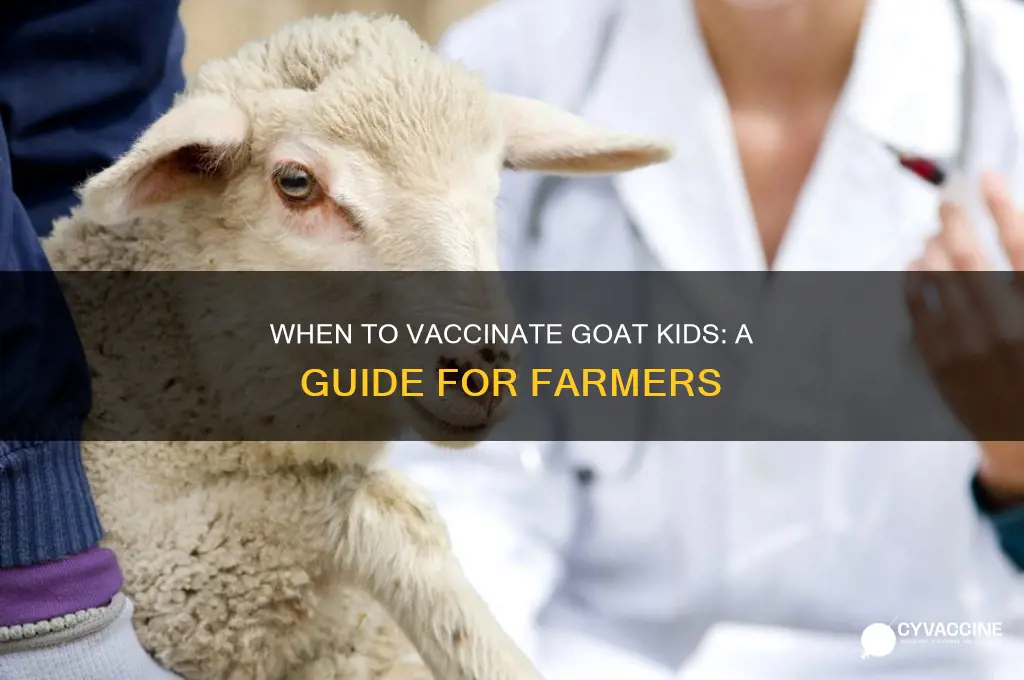 how old should a goat kid be to vaccinate