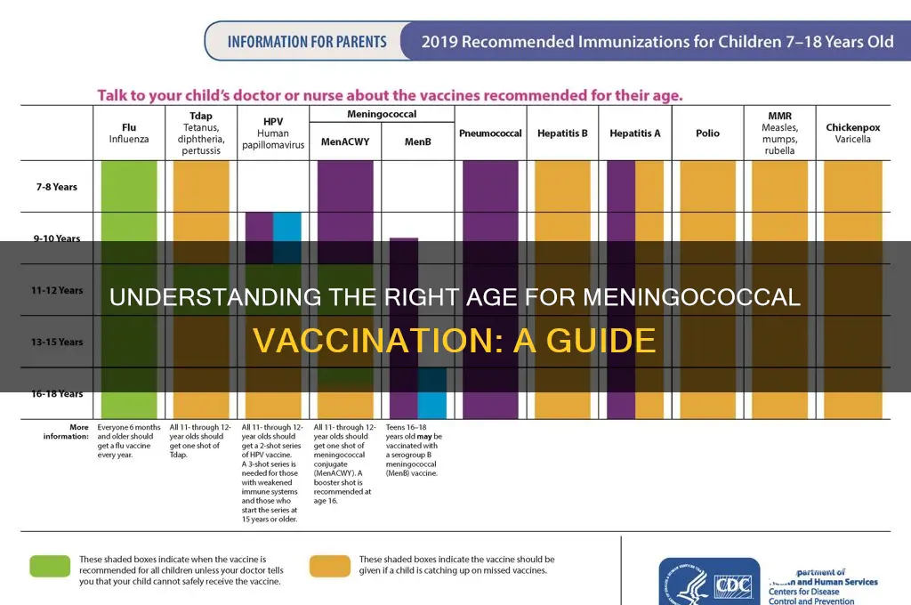 how old to have menongincocal vaccine