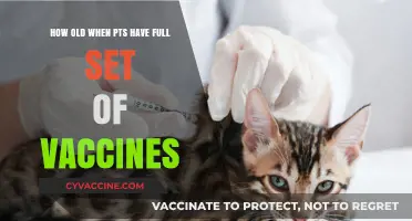 When Do Pets Complete Their Full Vaccine Schedule?