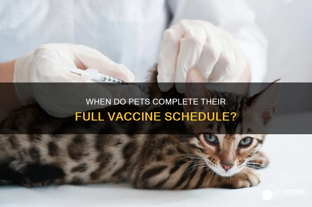 how old when pts have full set of vaccines
