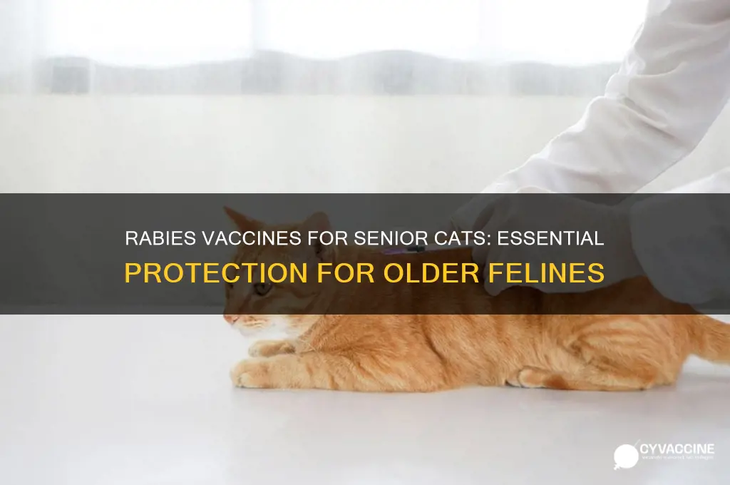 how older cats have rabies vaccines