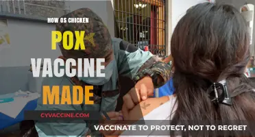 Understanding the Science Behind Creating the Chicken Pox Vaccine