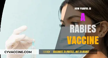 Rabies Vaccine Pain: What to Expect and How to Manage It