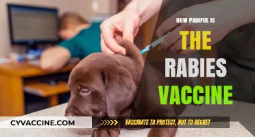 Rabies Vaccine Pain: What to Expect and How to Manage It