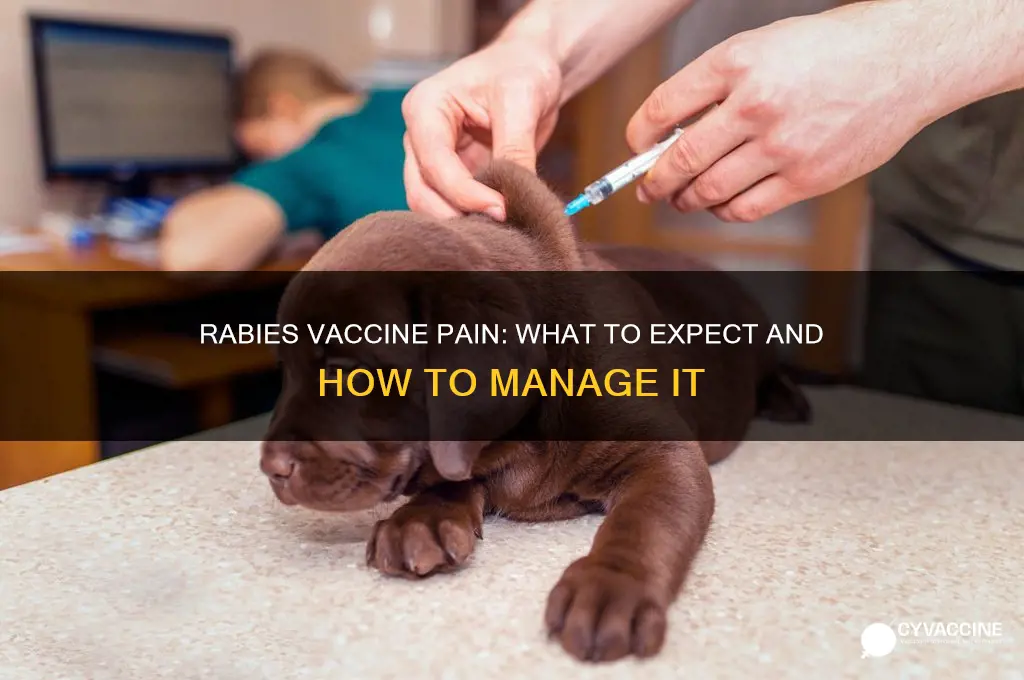 how painful is the rabies vaccine