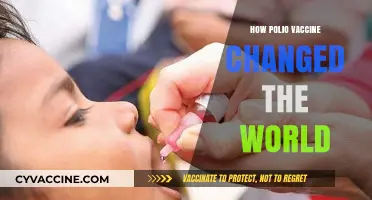Polio Vaccine's Global Impact: Eradicating Fear, Transforming Lives Forever