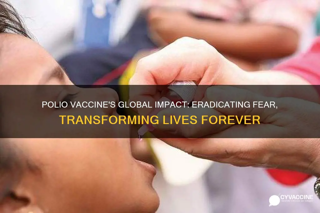 how polio vaccine changed the world