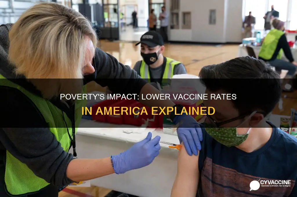 how poverty affects vaccine rates in the united states