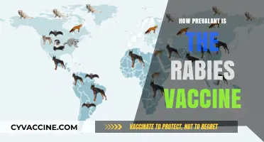 Rabies Vaccine Prevalence: Global Distribution and Accessibility Explained