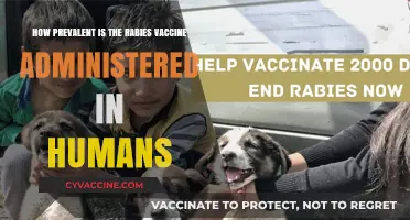 Rabies Vaccine Administration: Global Prevalence and Human Protection Rates