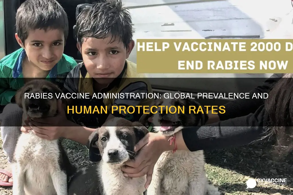 how prevalent is the rabies vaccine administered in humans