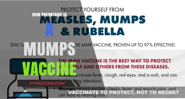 Mumps Vaccine: How Effective is it in Preventing Outbreaks?